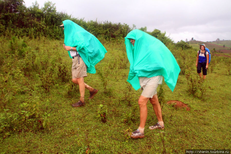 Особо чувствительные к дождю накрываются непромокаемыми накидками, другие идут так Кало, Мьянма