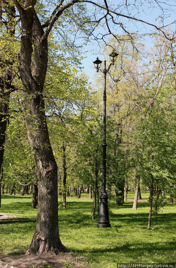 Петровский парк в кронштадте фото