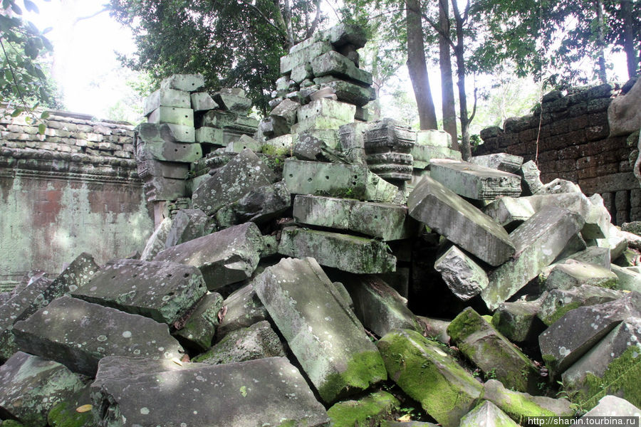 Храм Анджелины Джоли Ангкор (столица государства кхмеров), Камбоджа