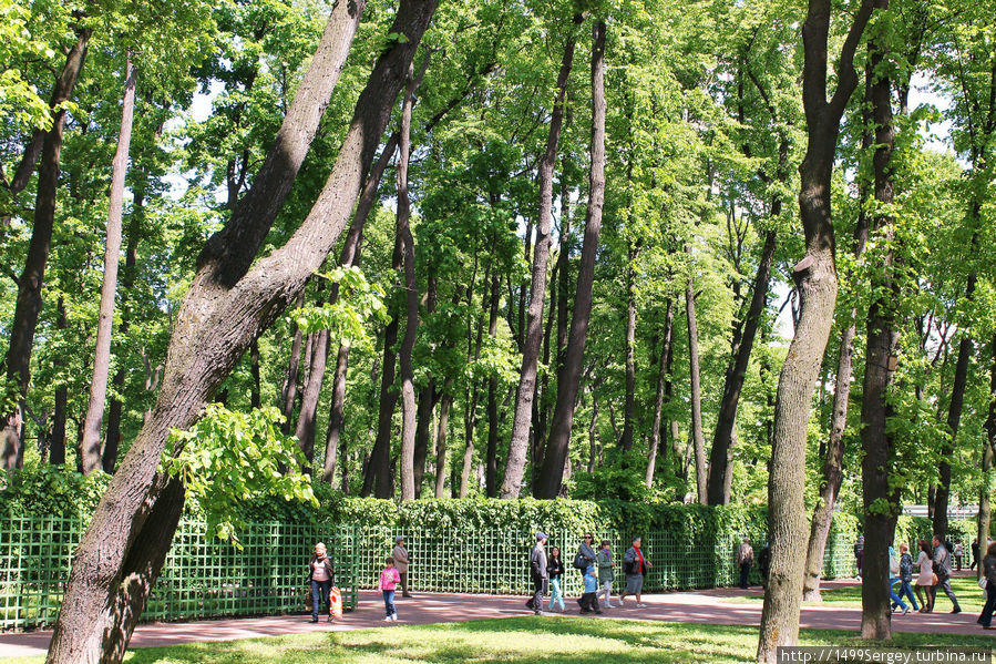 Летний сад. Метаморфозы Санкт-Петербург, Россия