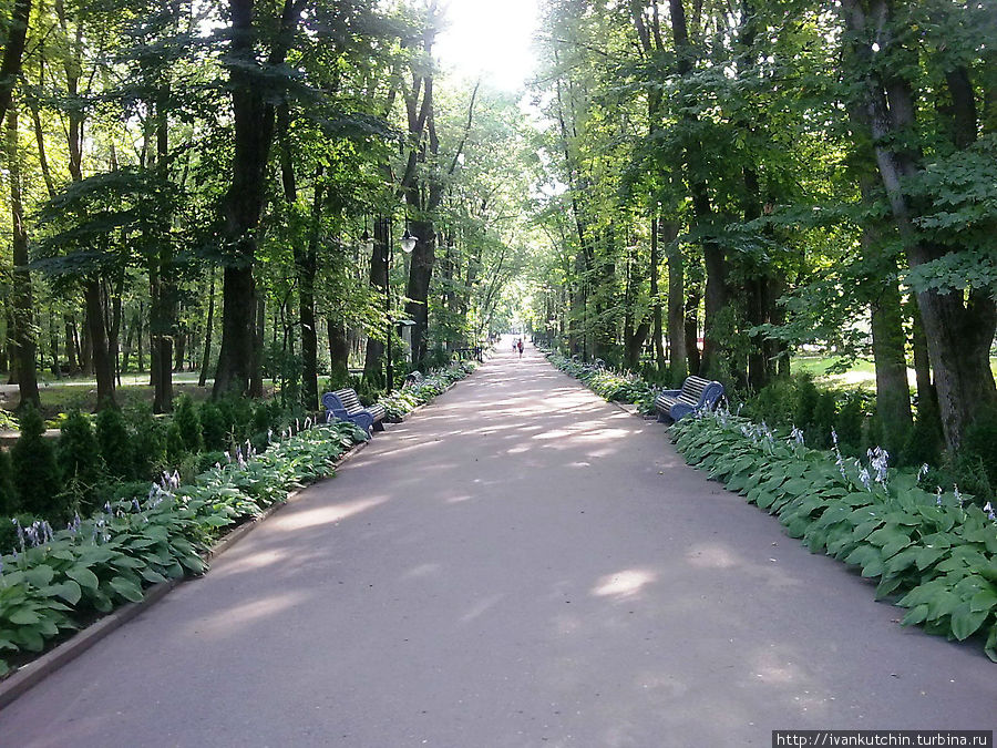Тенистые аллеи парка Старая Русса, Россия