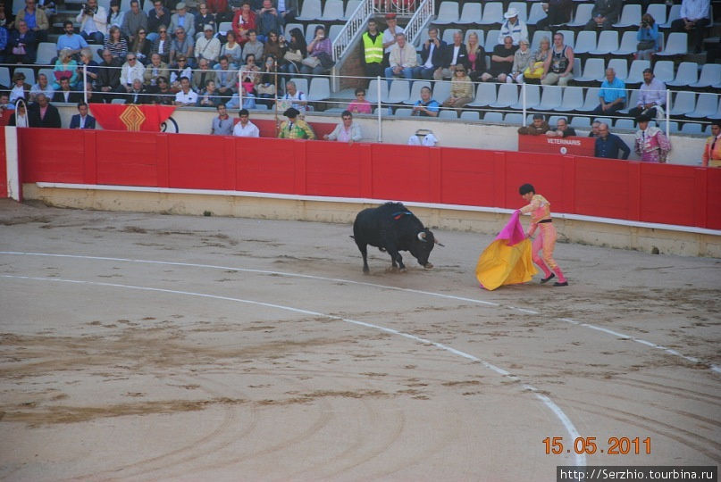 Безжалостная КОРРИДА или Бык против Человека! Барселона, Испания