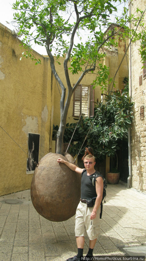 дерево без корней Тель-Авив, Израиль