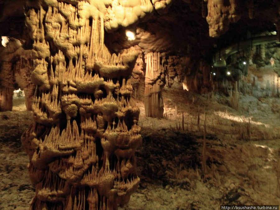 Конечно, в мире есть сталактитовые пещеры гораздо большие по размеру, чем Сорек. Но именно эта признана учёными самой насыщенной по разнообразию и концентрации сталактитов и сталагмитов, а следовательно, и очень перспективной для научных исследований. Иерусалимский округ, Израиль