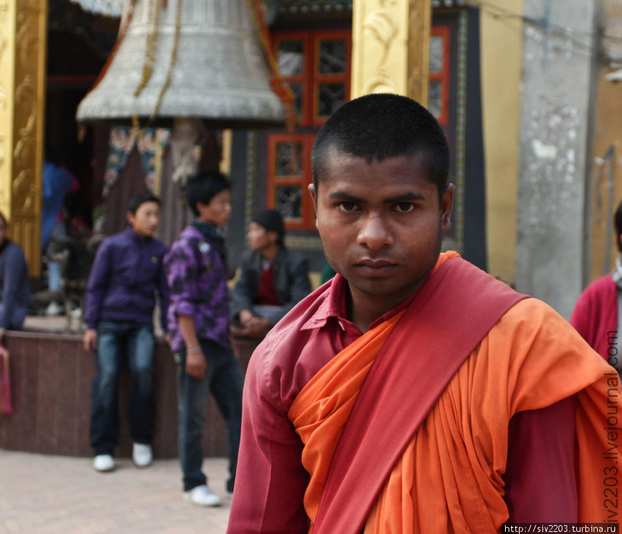 Молодой монах одарил меня этим взглядом, после того, как я положила немного денег в его чажу для пожертвований Непал