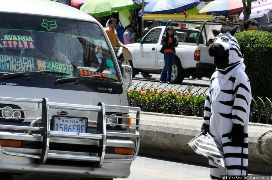 Переходите дороги при помощи зебры! Ла-Пас, Боливия