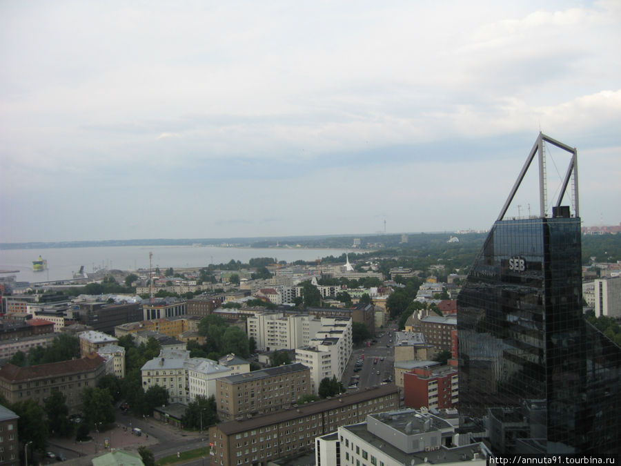 Вид на современную часть города с 25-го этажа Таллин, Эстония