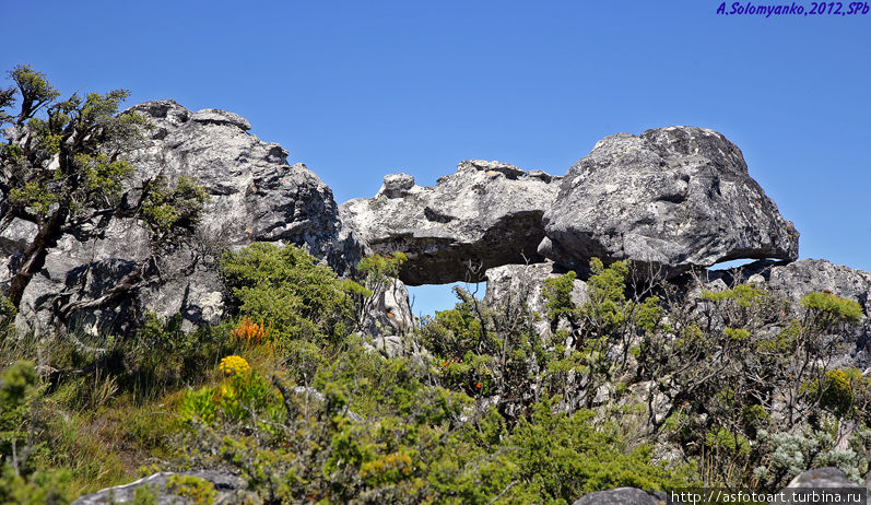 Каменные причуды повсюду Кейптаун, ЮАР