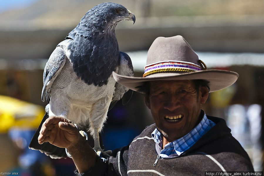 Второй день в Перу. Колка и Чивай Каньон Колка, Перу