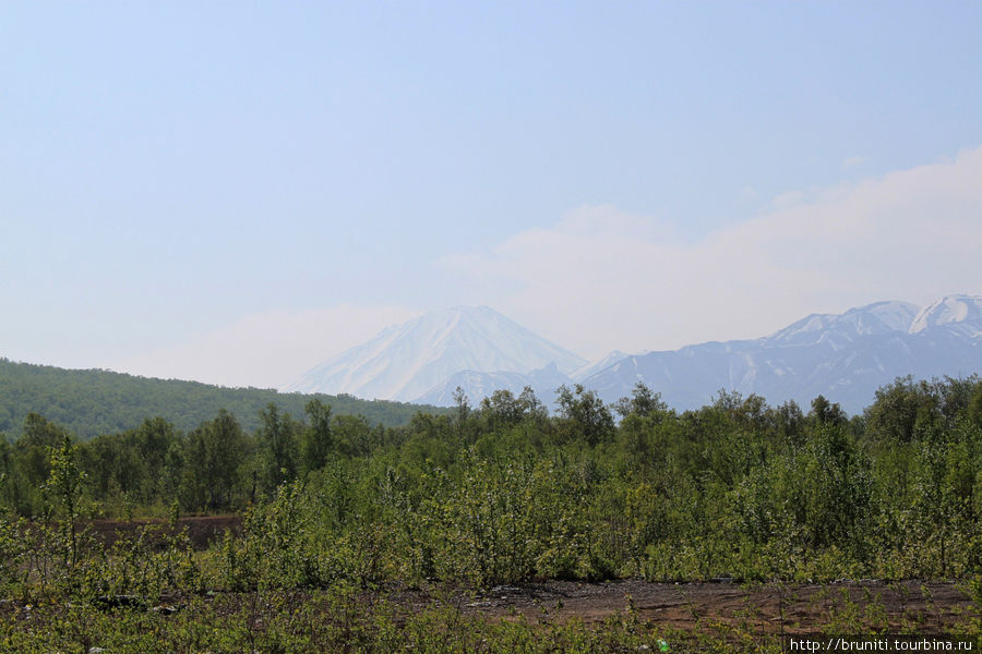 вулкан Бакенинг Камчатский край, Россия