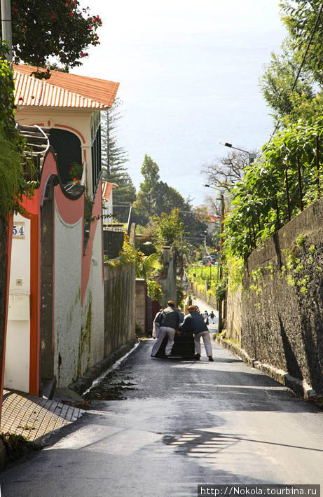 Местная забава- езда по асфальту в деревянных санях Фуншал, Португалия