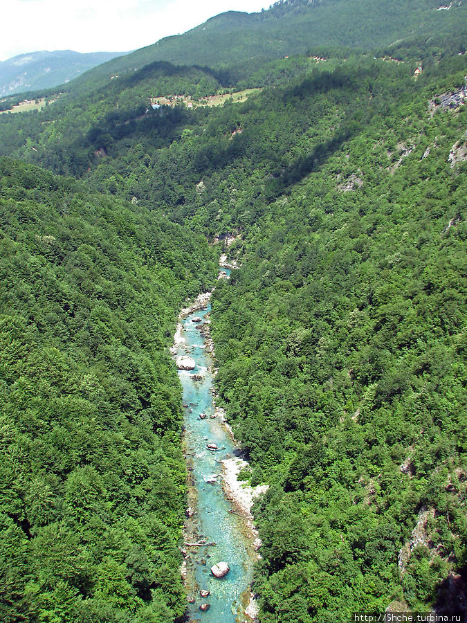 Величественный каньон реки Тара Национальный парк Дурмитор, Черногория