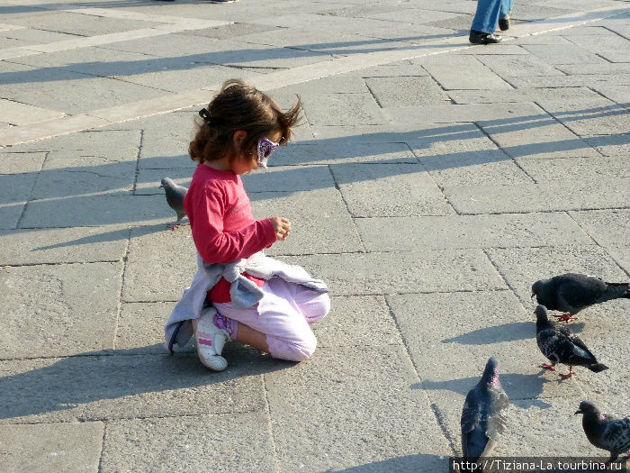 Два удовольствия в Венеции упускать нельзя — купить и надеть маску, и покормить ручных и наглых голубей Венеция, Италия
