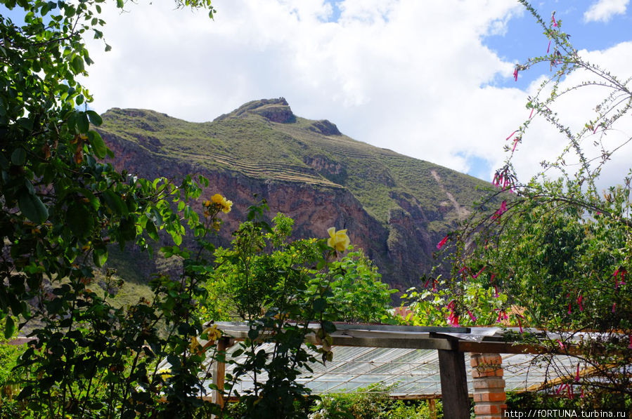 Ботанический сад Писак, Перу