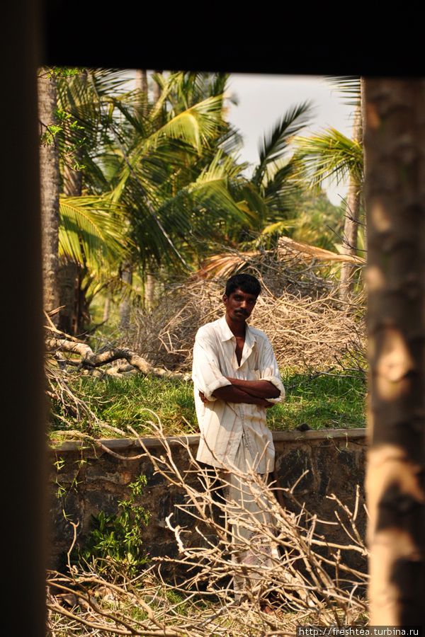 В старинной усадьбе даже простые рабочие преисполнены величия и, кажется, не знают, что такое суета. Шри-Ланка
