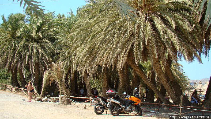 Пальмовый пляж Ваи