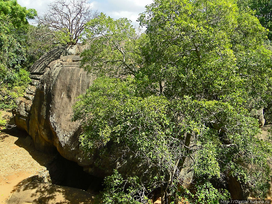 На нижнем ярусе у подножия Сигирии множество гротов и пещер, скрытых в каменных глыбах Сигирия, Шри-Ланка