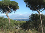 Панорама Везувия,открывающаяся с высоты парка Виргилиана,что на холме Позиллипо в Неаполе.