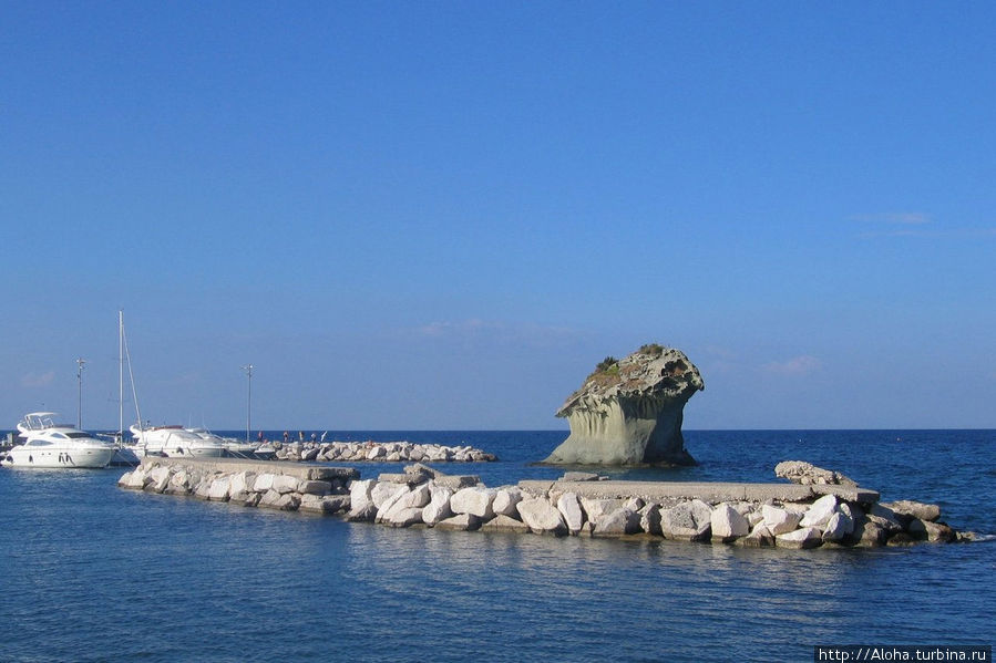 Гриб, который раньше назывался рыбой Остров Искья, Италия