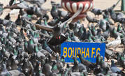 голуби у Боднатха
