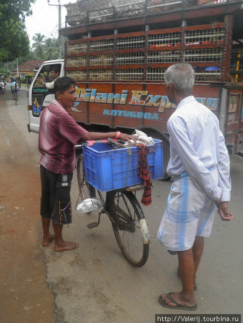 Sri Lanka (9). Магия лиц и характеров Бентота, Шри-Ланка