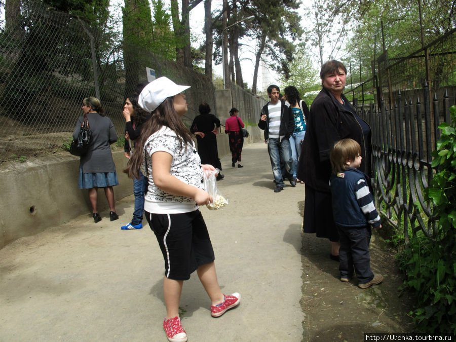 Назад в детство. Зоопарк  в Тбилиси Тбилиси, Грузия