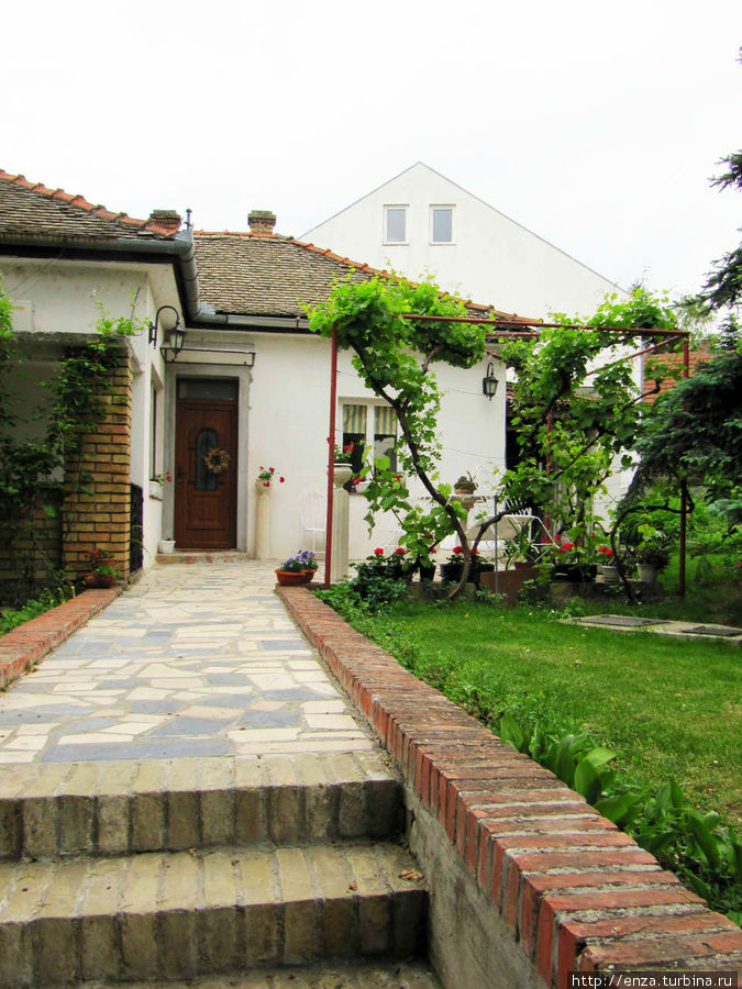Музей пчеловодства и винный погреб семьи Живанович Сремски-Карловци, Сербия