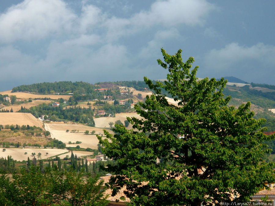 Вид на окрестности Урбино с крепости  Альборноз Урбино, Италия