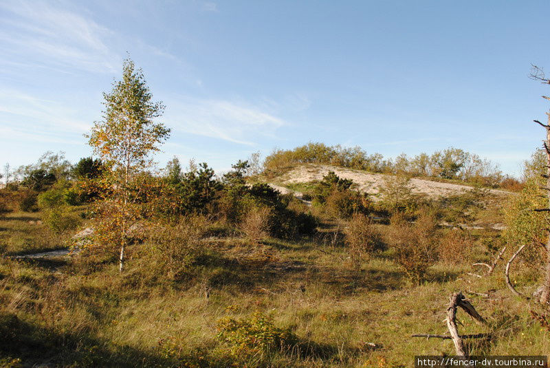 Ранняя осень на Куршской косе Куршская Коса Национальный Парк, Россия
