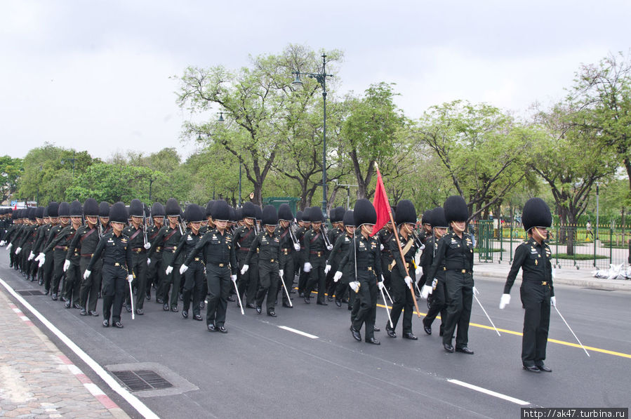 репетиция парада Бангкок, Таиланд