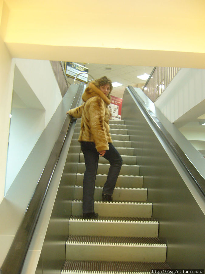 лестница-чудесница бежит сама собой Санкт-Петербург, Россия