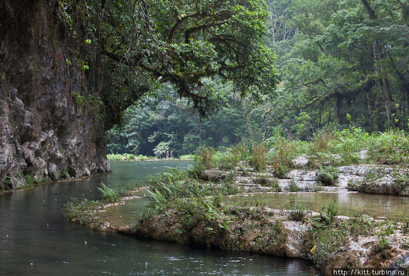 Водопады Semuc Champey. Изумруд центральной Гватемалы Семук-Чампеу Чудо Природы, Гватемала