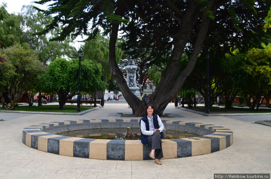 Неработающий фонтан в парке и красивое дерево Пунта-Аренас, Чили