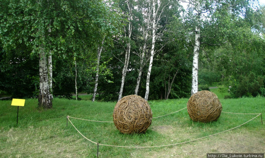 Большие сферы 2012, Рейчел Картер, Великобритания —  в своей работе автор использует только природный материал. Все работы на экологическую тему Киев, Украина