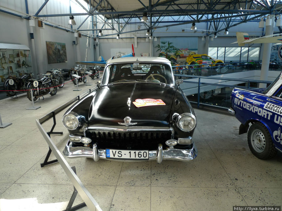 Реаф 50