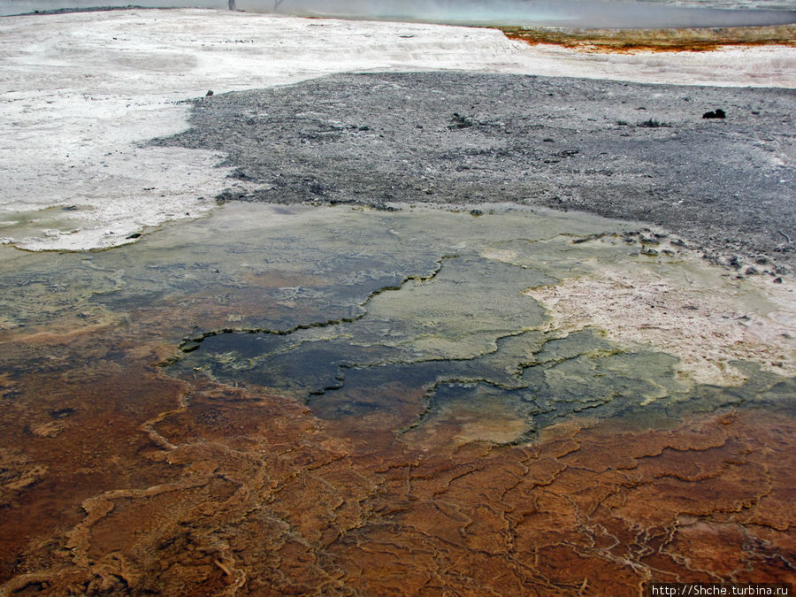 Террасы Мамонтовых горячих источников (Mammoth Hot Spring) Йеллоустоун Национальный Парк, CША