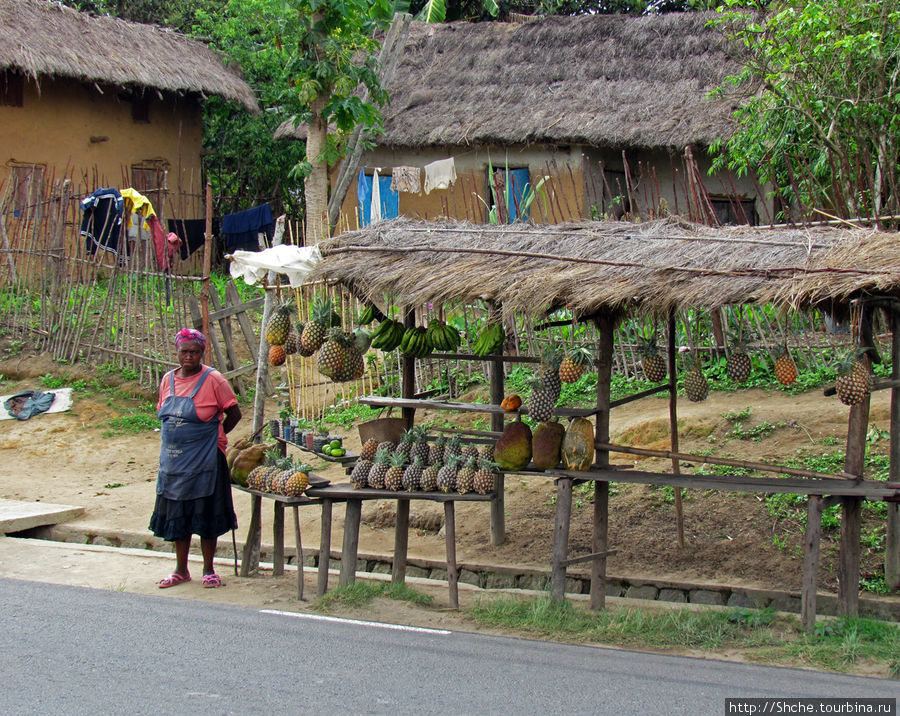 Сделали остановку на покупку ананасов. Продавщица с другой стороны как-то не по доброму завитует Провинция Туамасина, Мадагаскар