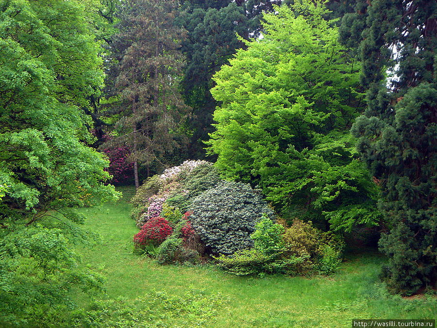 На холмах вокруг города произрастает более 300 видов экзотических растений. Баден-Баден, Германия