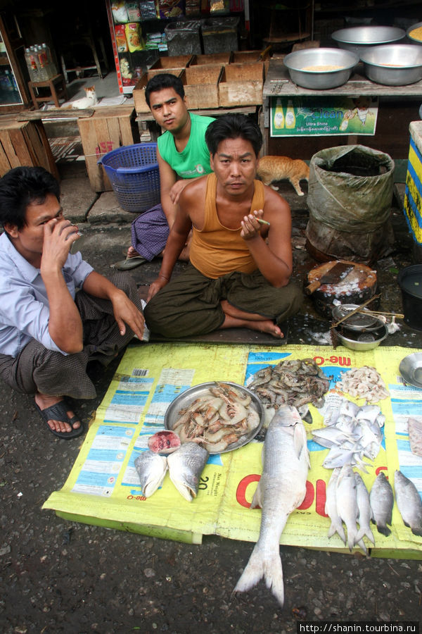 Рыбный рынок Янгон, Мьянма