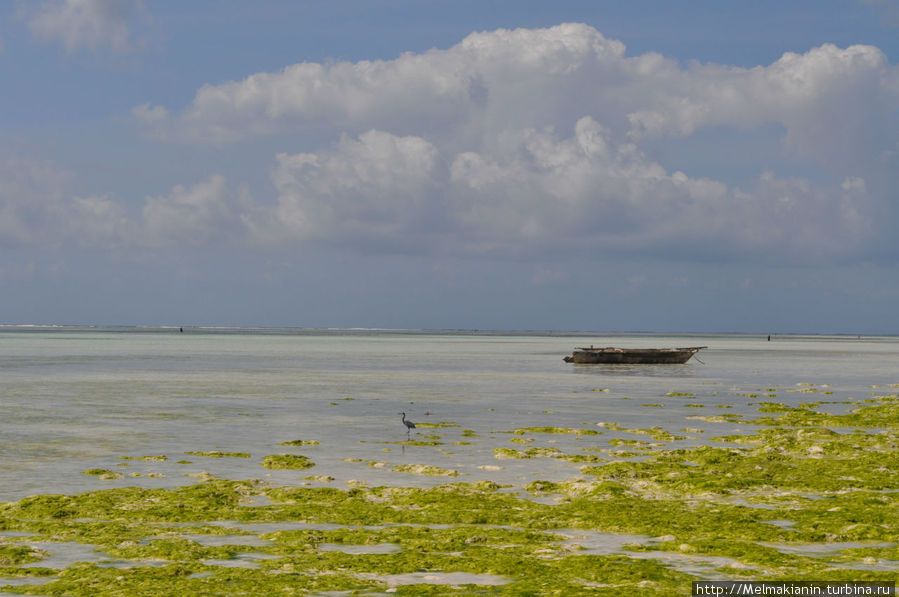 Океан Парадайз Бич Резорт Занзибар, Танзания