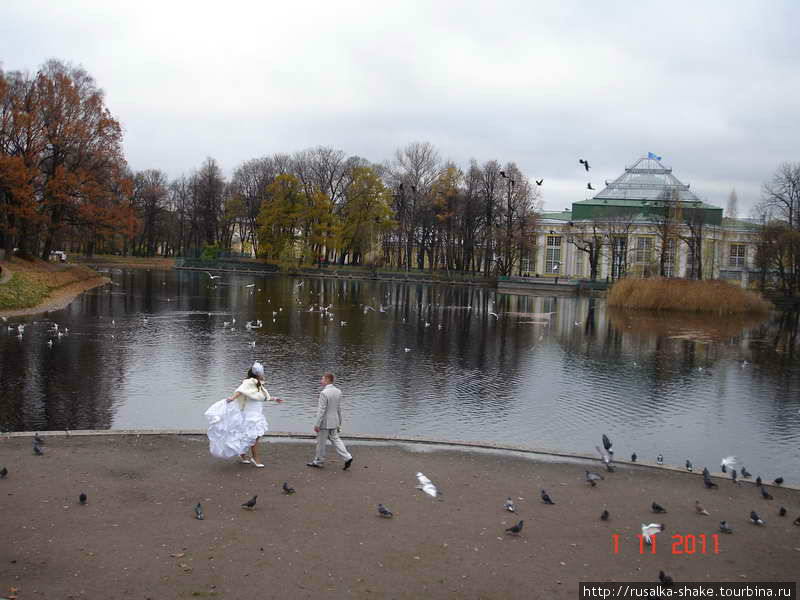 Таврический сад Санкт-Петербург, Россия