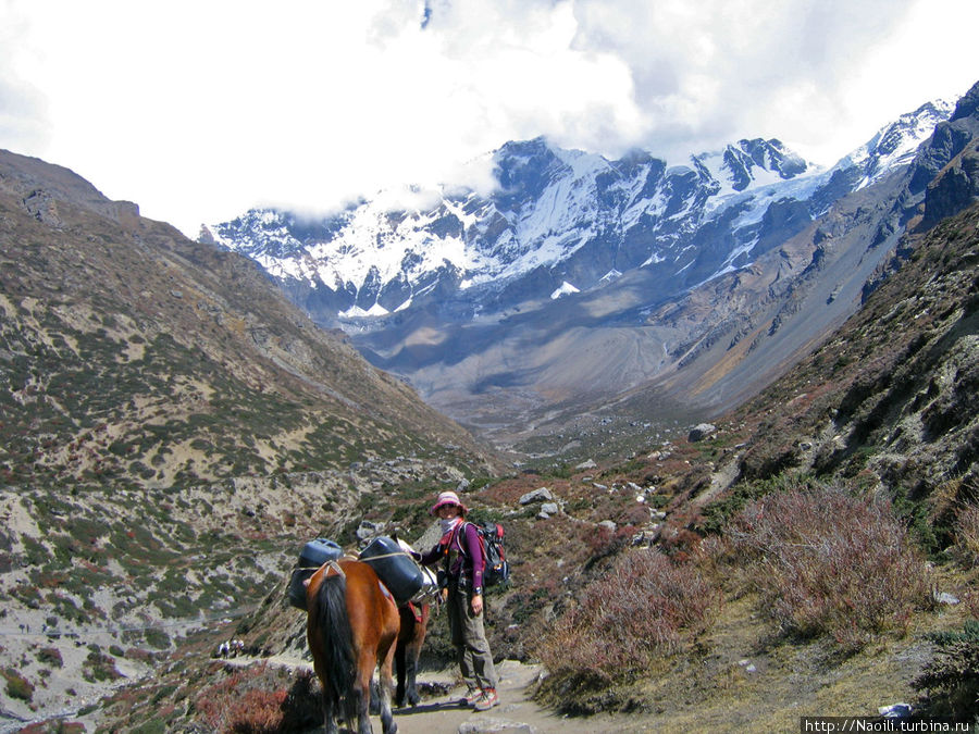 Трек вокруг Аннапурны:  из лета в зиму на высоте 4050 Якхарка, Непал