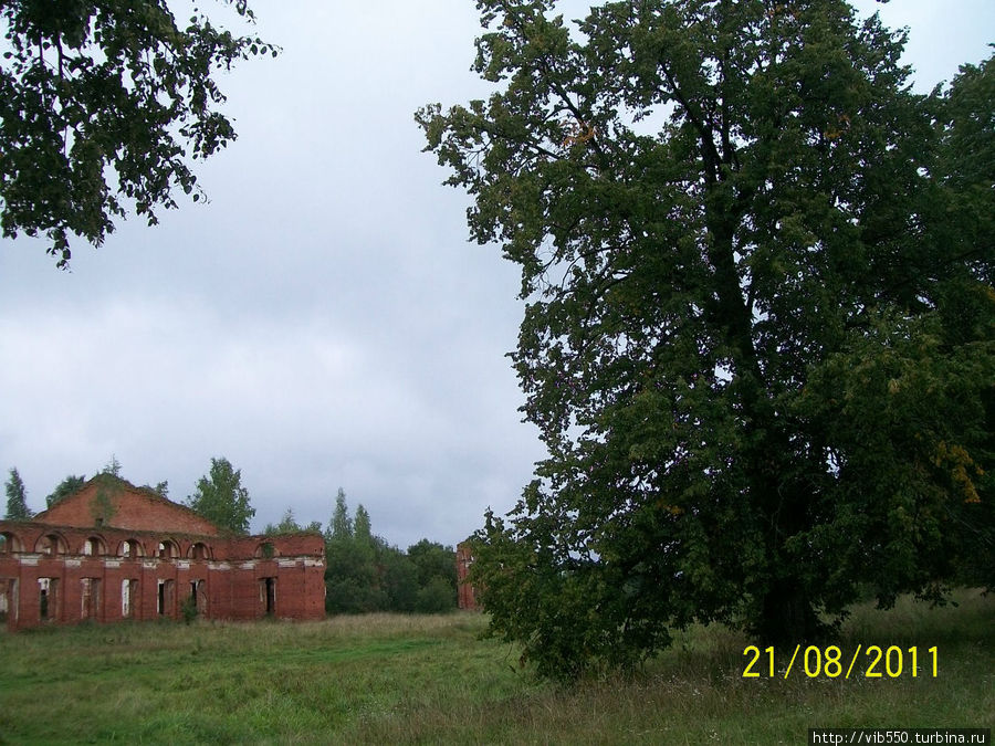 Исторические руины  в Селищах под Великим Новгородом Селищи, Россия