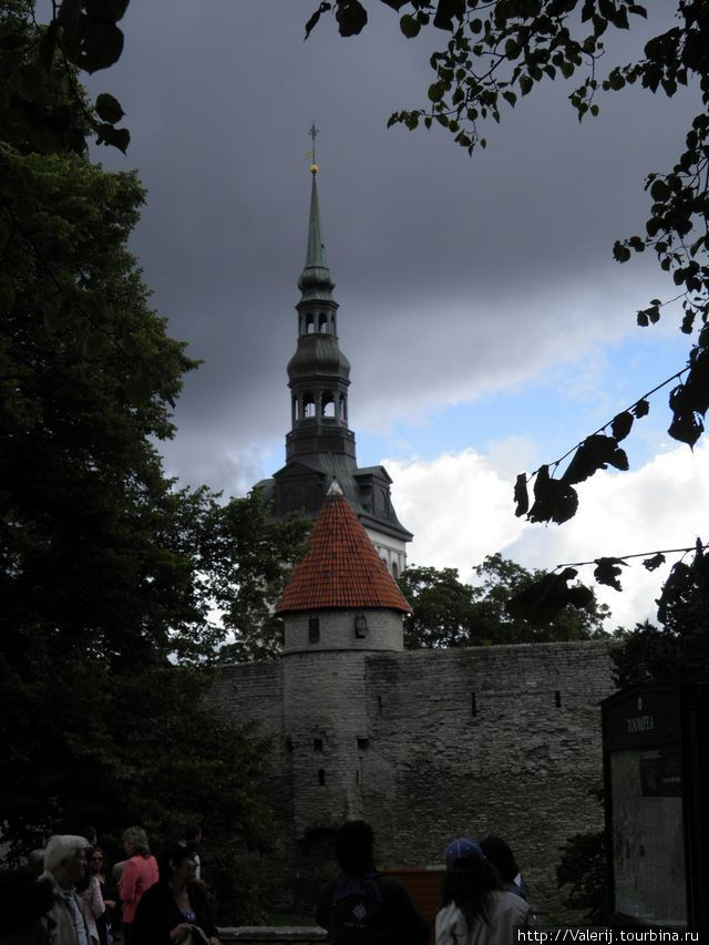 Музыка фьордов (13)  Vanna Tallinn – город, запавший душу. Таллин, Эстония