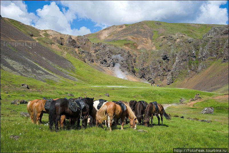Для ленивых туристов, которые не любят много ходить, есть возможность совершить сюда конную прогулку. Южная Исландия, Исландия