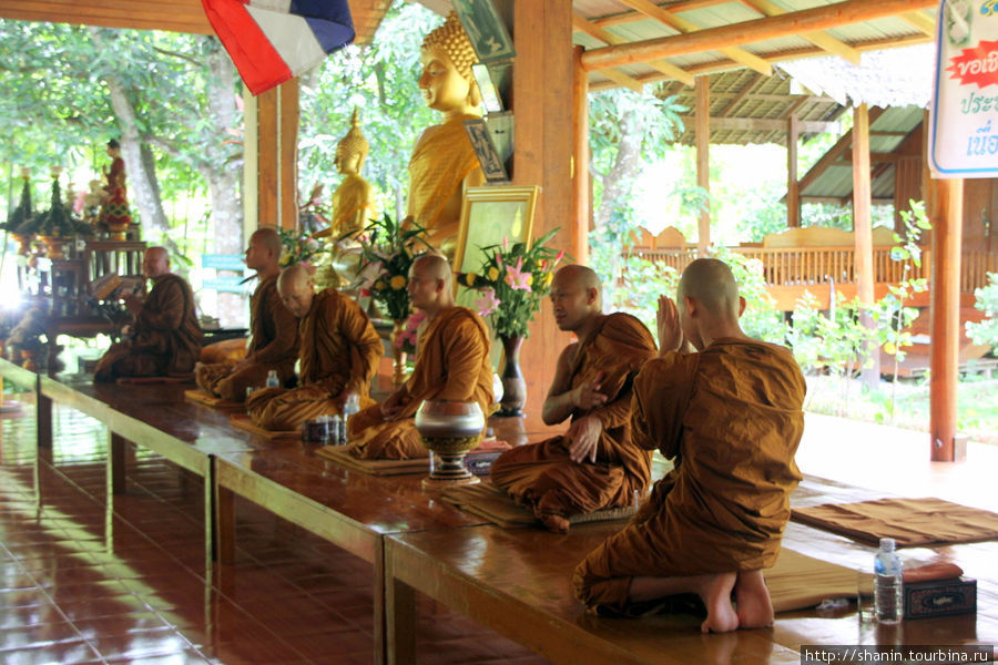 Монахи во время торжественной службы Мае-Хонг-Сон, Таиланд