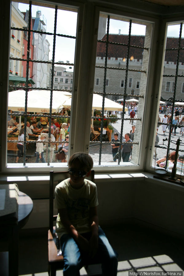 Вид из ее окна на Ратушную площадь Таллин, Эстония