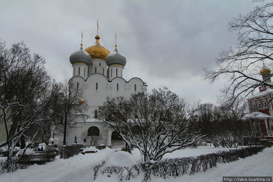 Середина зимы в Новодевичьем монастыре Москва, Россия