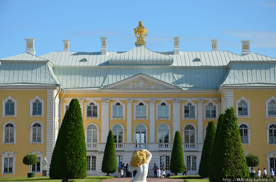 Большой дворец в петергофе фасад. Дворец петра в петергофе. Растрелли петергоф. Фасад петергоф. Большой петергофский дворец барокко.