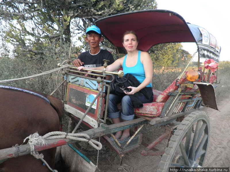 Прогулка на лошади Баган, Мьянма